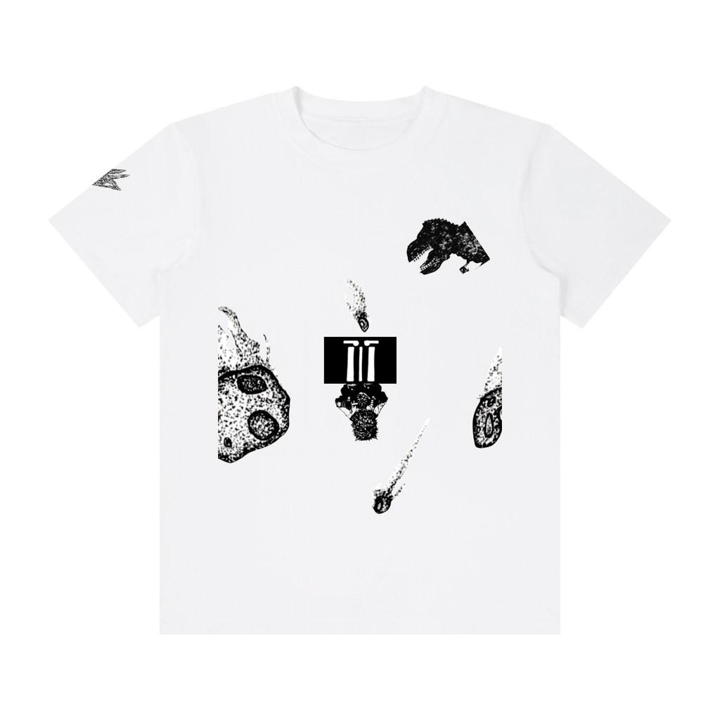 MATĪN NOMĪ - IMMINENT : 24